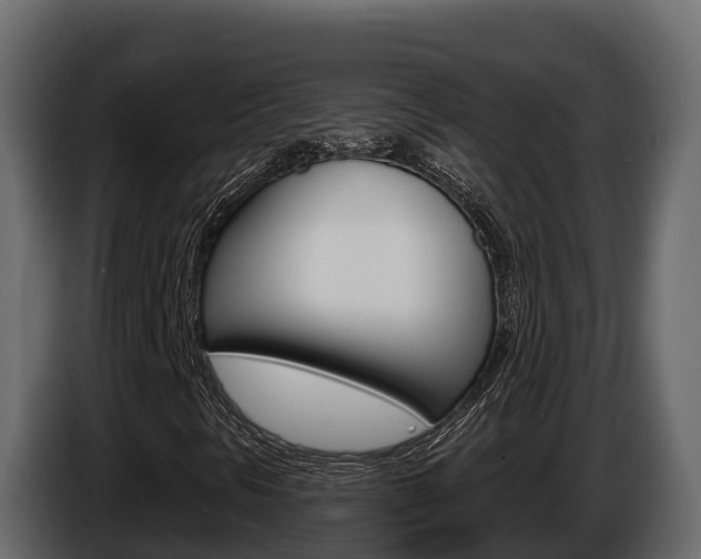 X0000086021297200703230924