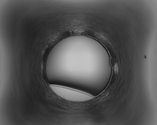 X0000086021299200703230924
