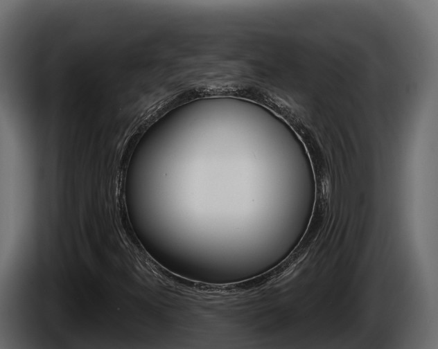 X0000086021300200703230924