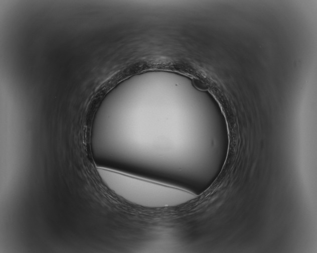 X0000086021301200703230924