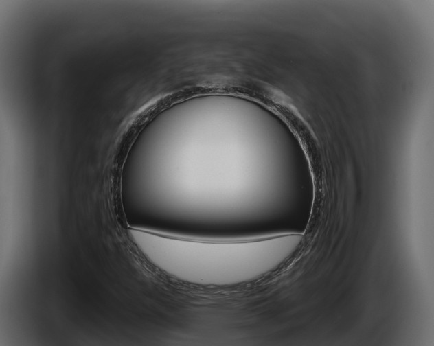 X0000086021304200703230924