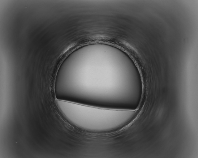 X0000086021305200703230924