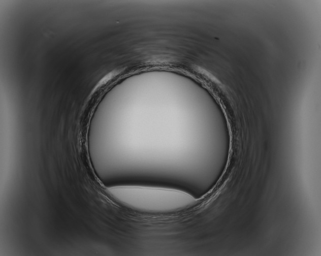 X0000086021306200703230924