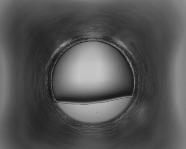 X0000086021307200703230924