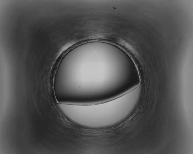 X0000086021308200703230924