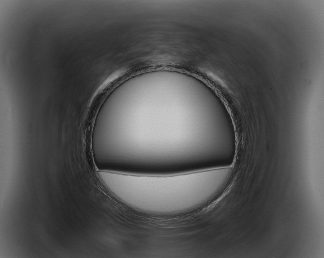 X0000086021309200703230924