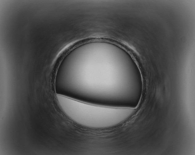 X0000086021311200703230924