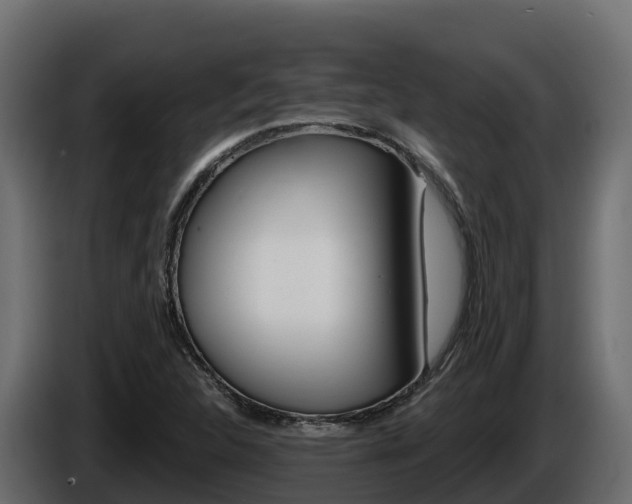 X0000086021312200703230924