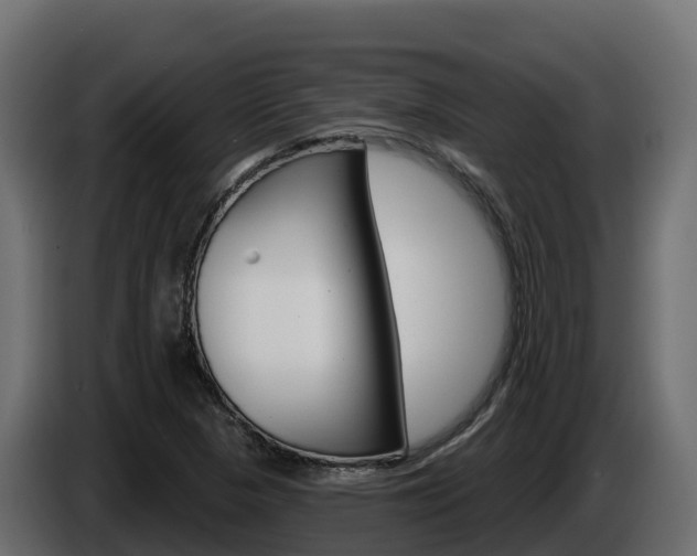 X0000086021313200703230924