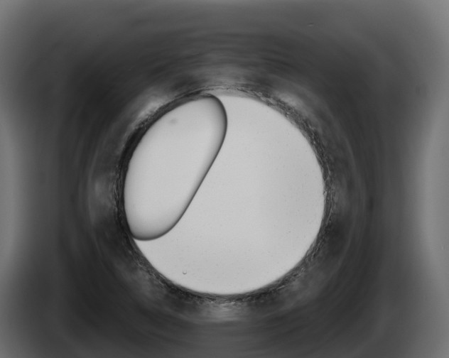 X0000086021314200703230924