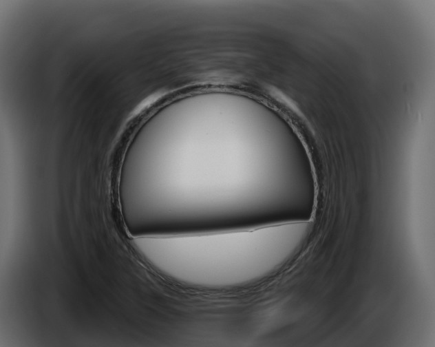 X0000086021315200703230924
