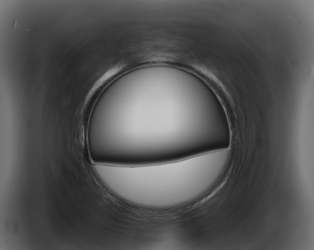 X0000086021317200703230924