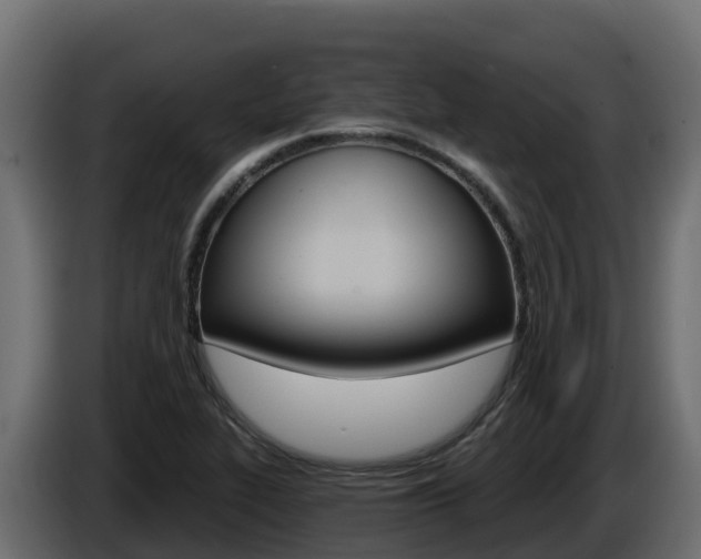X0000086021319200703230924
