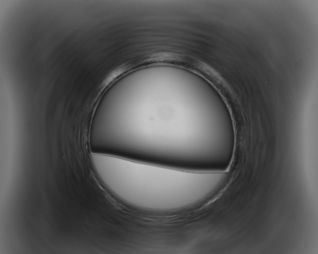 X0000086021321200703230924