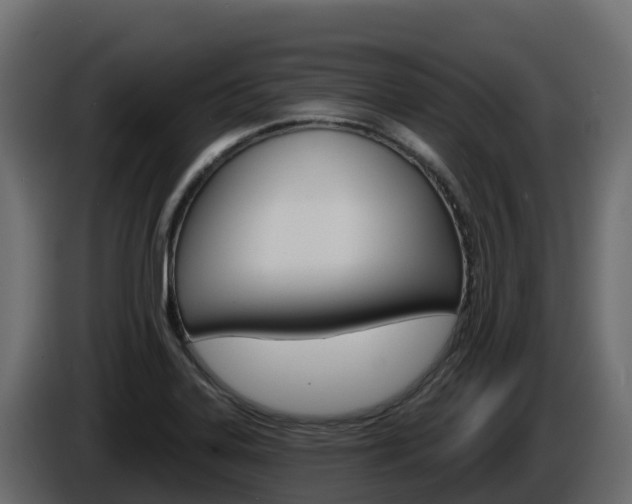 X0000086021323200703230924