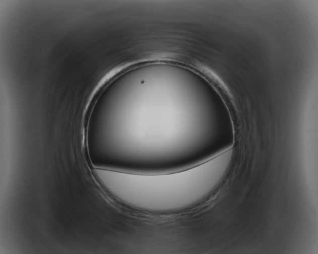 X0000086021324200703230924