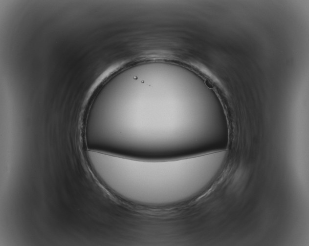 X0000086021325200703230924