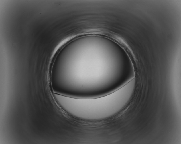 X0000086021328200703230924