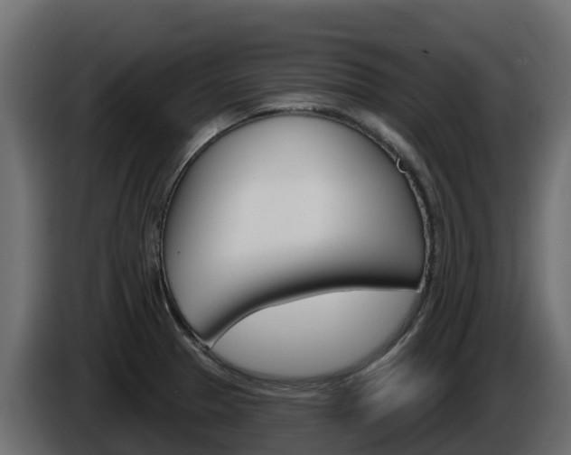 X0000086021329200703230924