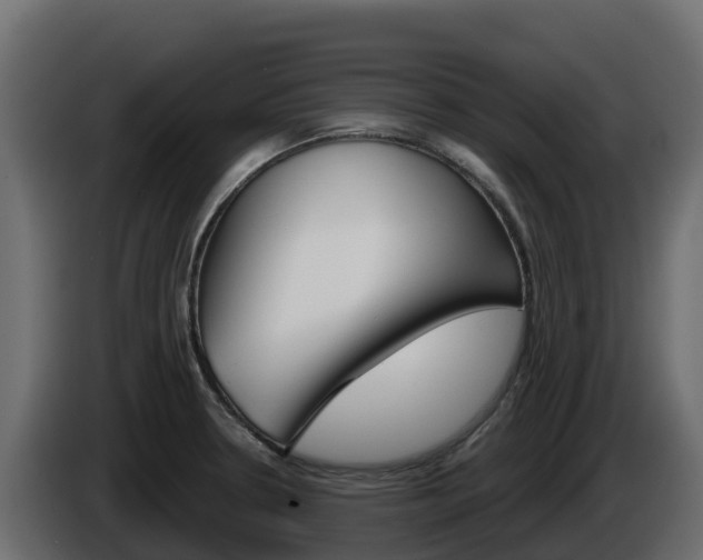 X0000086021330200703230924