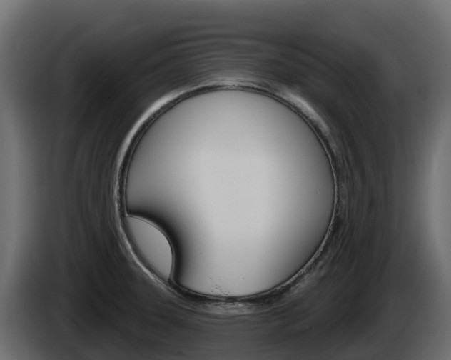 X0000086021331200703230924