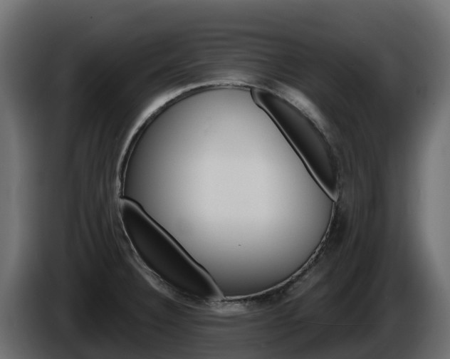X0000086021332200703230924