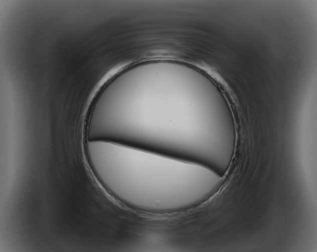 X0000086021333200703230924