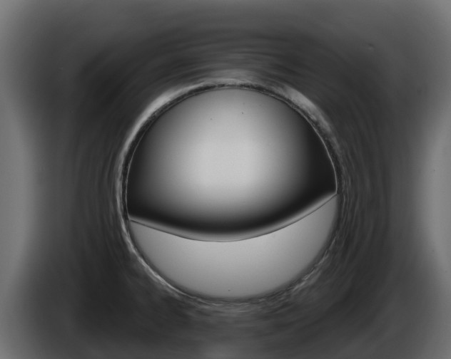 X0000086021334200703230924