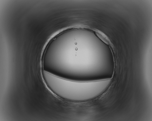 X0000086021335200703230924