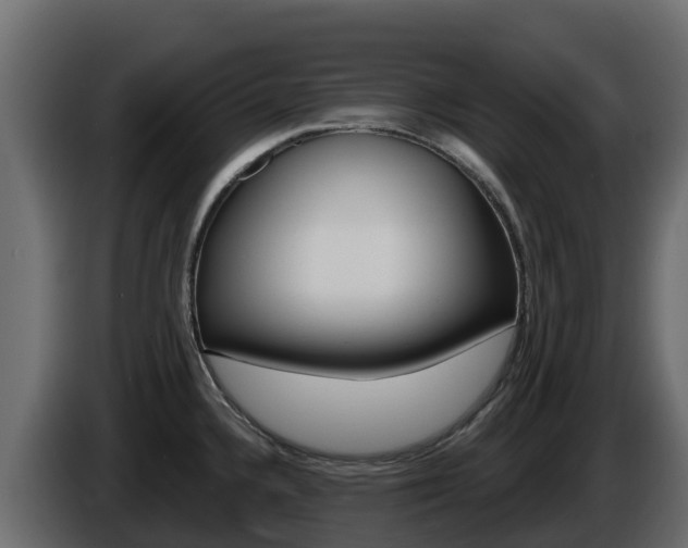 X0000086021336200703230924