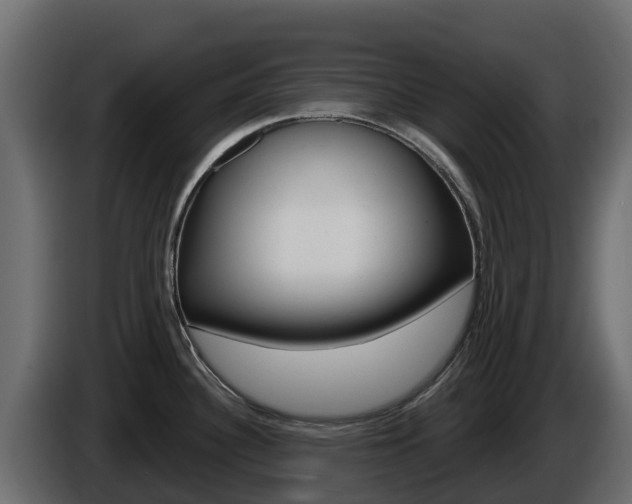 X0000086021340200703230924