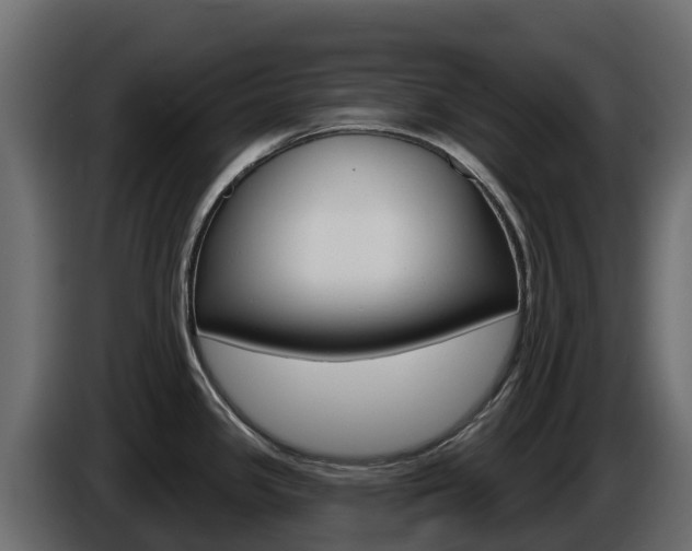X0000086021341200703230924