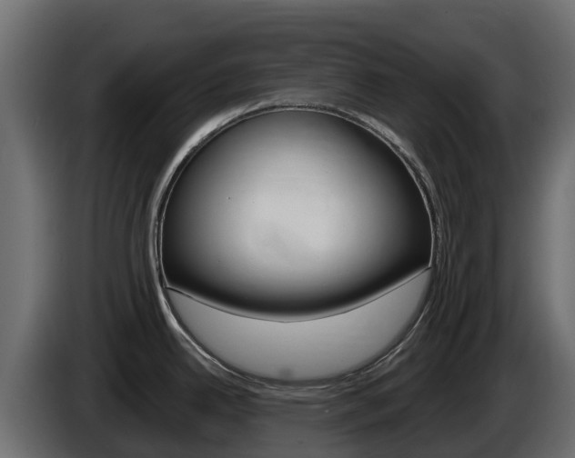 X0000086021342200703230924