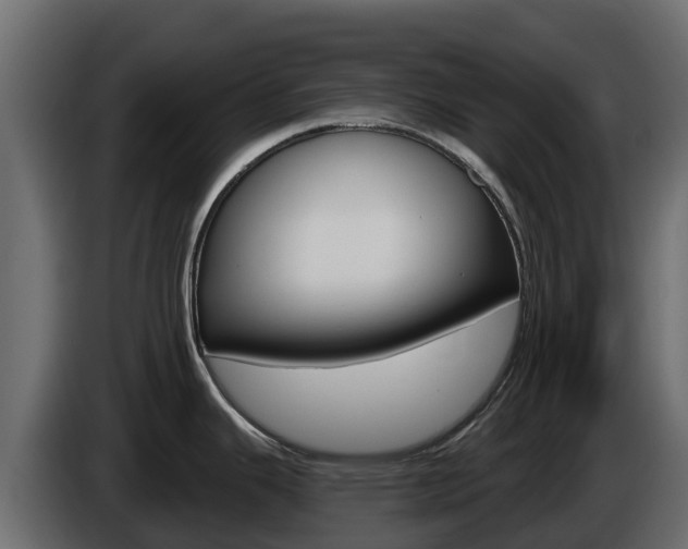 X0000086021343200703230924