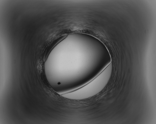 X0000086021348200703230924