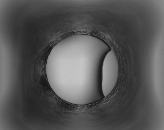 X0000086021350200703230924