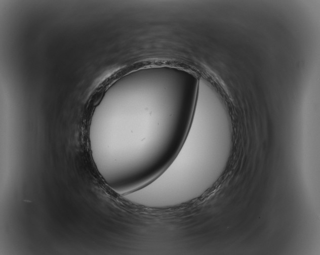 X0000086021352200703230924