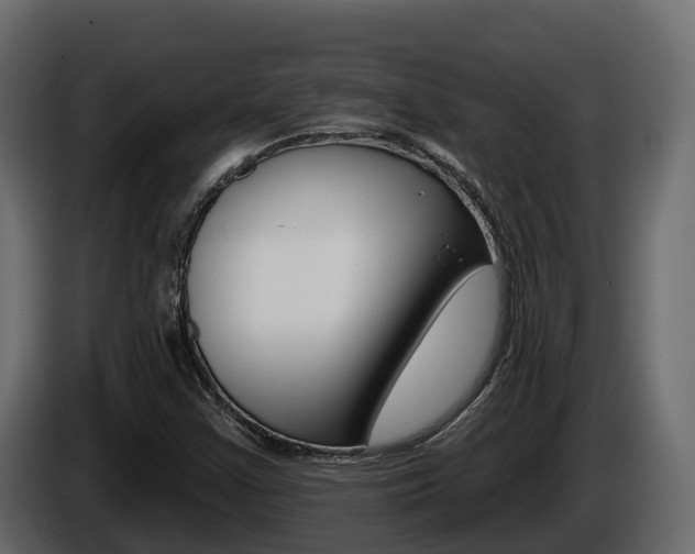 X0000086021355200703230923