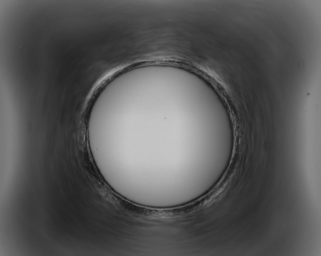 X0000086021358200703230923