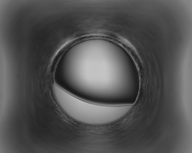 X0000086021360200703230923