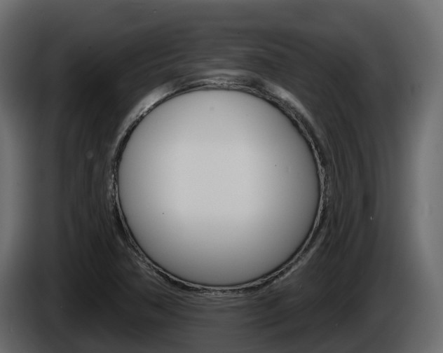 X0000086021362200703230923