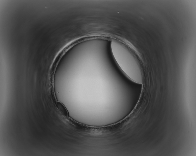 X0000086021364200703230923