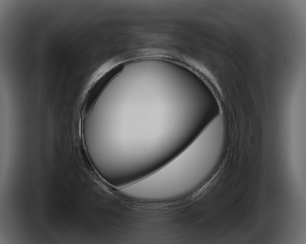 X0000086021365200703230923