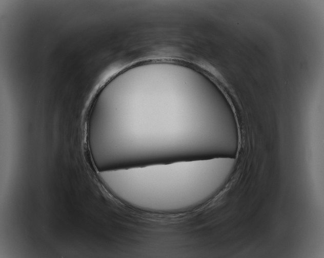 X0000086021366200703230923