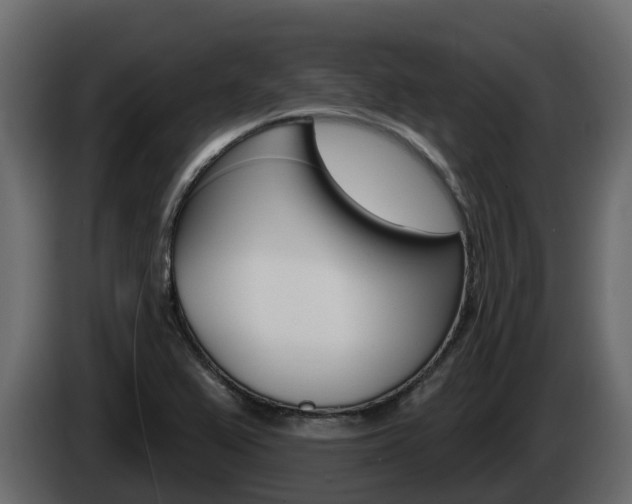 X0000086021367200703230923