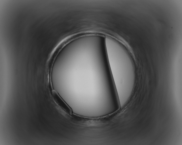 X0000086021368200703230923