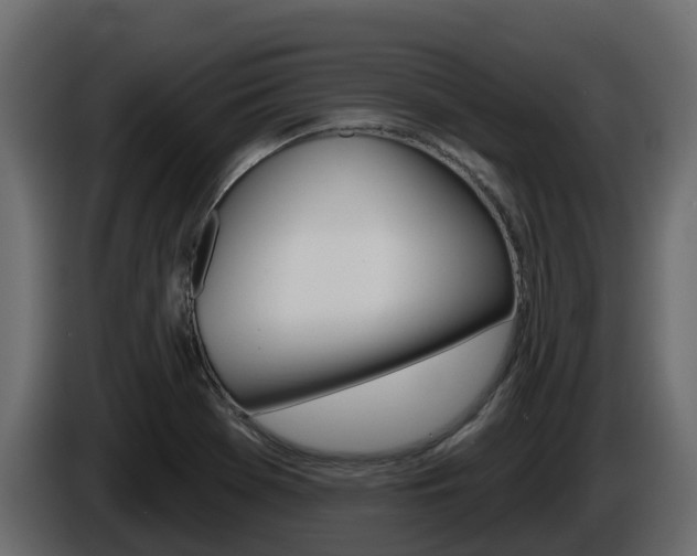X0000086021369200703230923