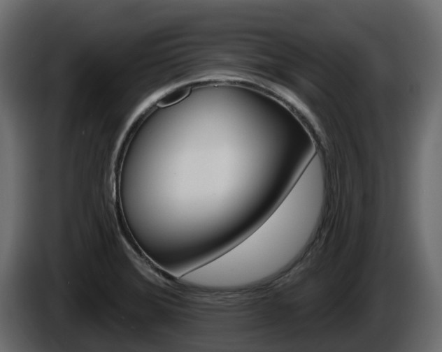 X0000086021372200703230923