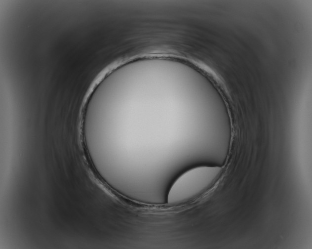 X0000086021374200703230923