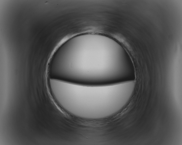 X0000086021375200703230923
